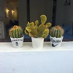 Διαμέρισμα Cactus